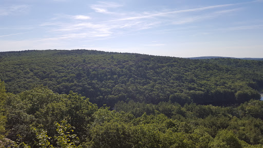 Leominster State Forest