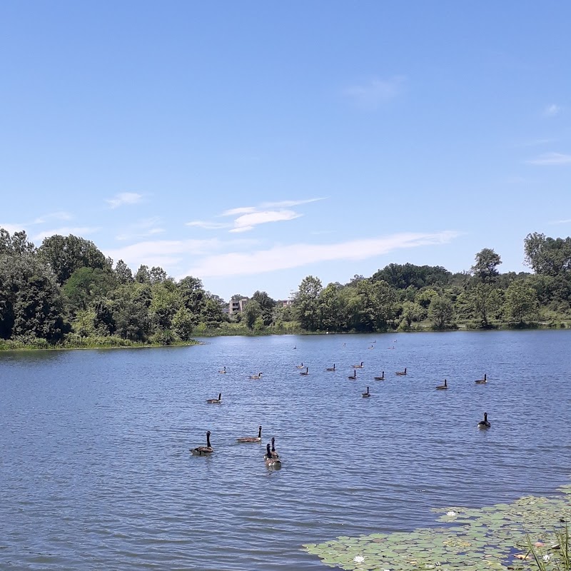Lake Artemesia Natural Area