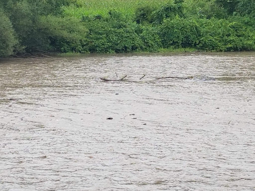 Campground «Herkimer Diamond KOA Resort», reviews and photos, 4626 NY-28, Herkimer, NY 13350, USA