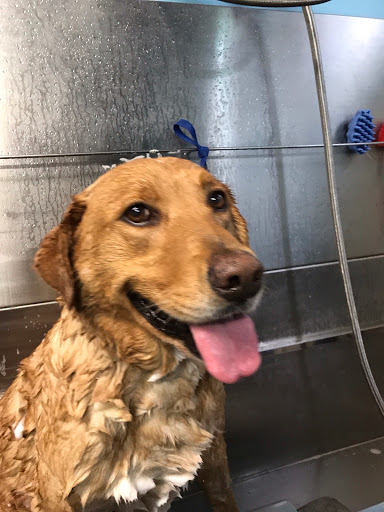 Pet Supply Store «Animal Kingdom of Santa Monica», reviews and photos, 300 Pico Blvd, Santa Monica, CA 90405, USA