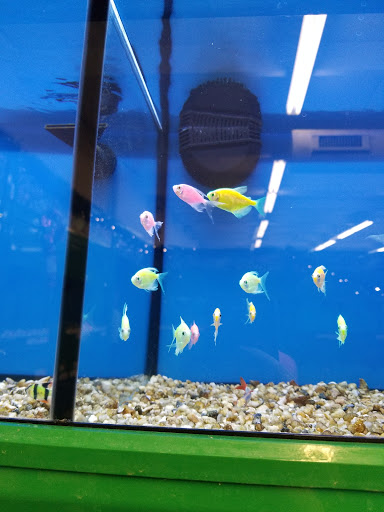 Pet Supply Store «Pet Supplies Plus», reviews and photos, 2201 US-281, Marble Falls, TX 78654, USA