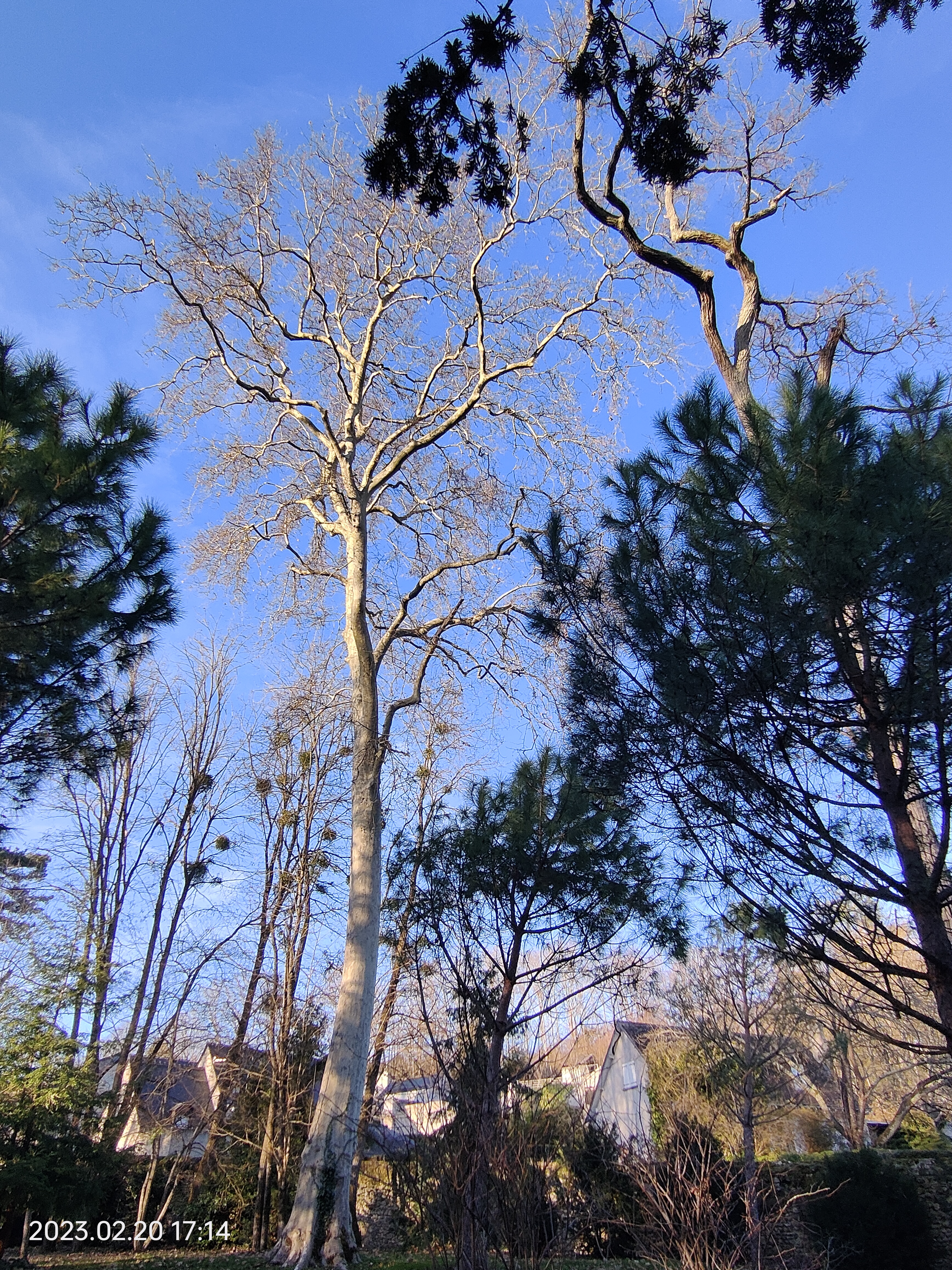 Photo n° 26 de l'avis de Philippe.R fait le 21/02/2023 à 00:07