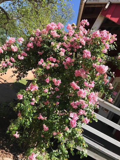 National Park «Waco Mammoth National Monument», reviews and photos, 6220 Steinbeck Bend Dr, Waco, TX 76708, USA