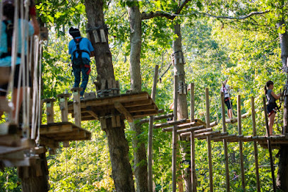 The Adventure Park at the Discovery Museum