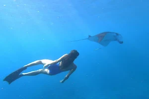 CENINGAN PARADISE ADVENTURES ,snorkeling trip & penida tour image