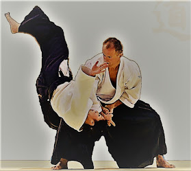 Van Gils Dojo - Aikido school