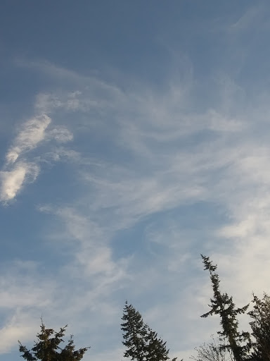 Golf Course «Battle Creek Golf Course», reviews and photos, 6006 Meridian Ave N, Tulalip, WA 98271, USA