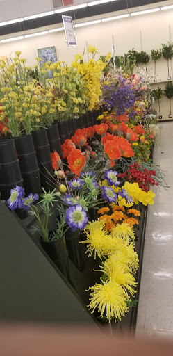 Craft Store «Hobby Lobby», reviews and photos, 5801 W Saginaw Hwy, Lansing, MI 48917, USA