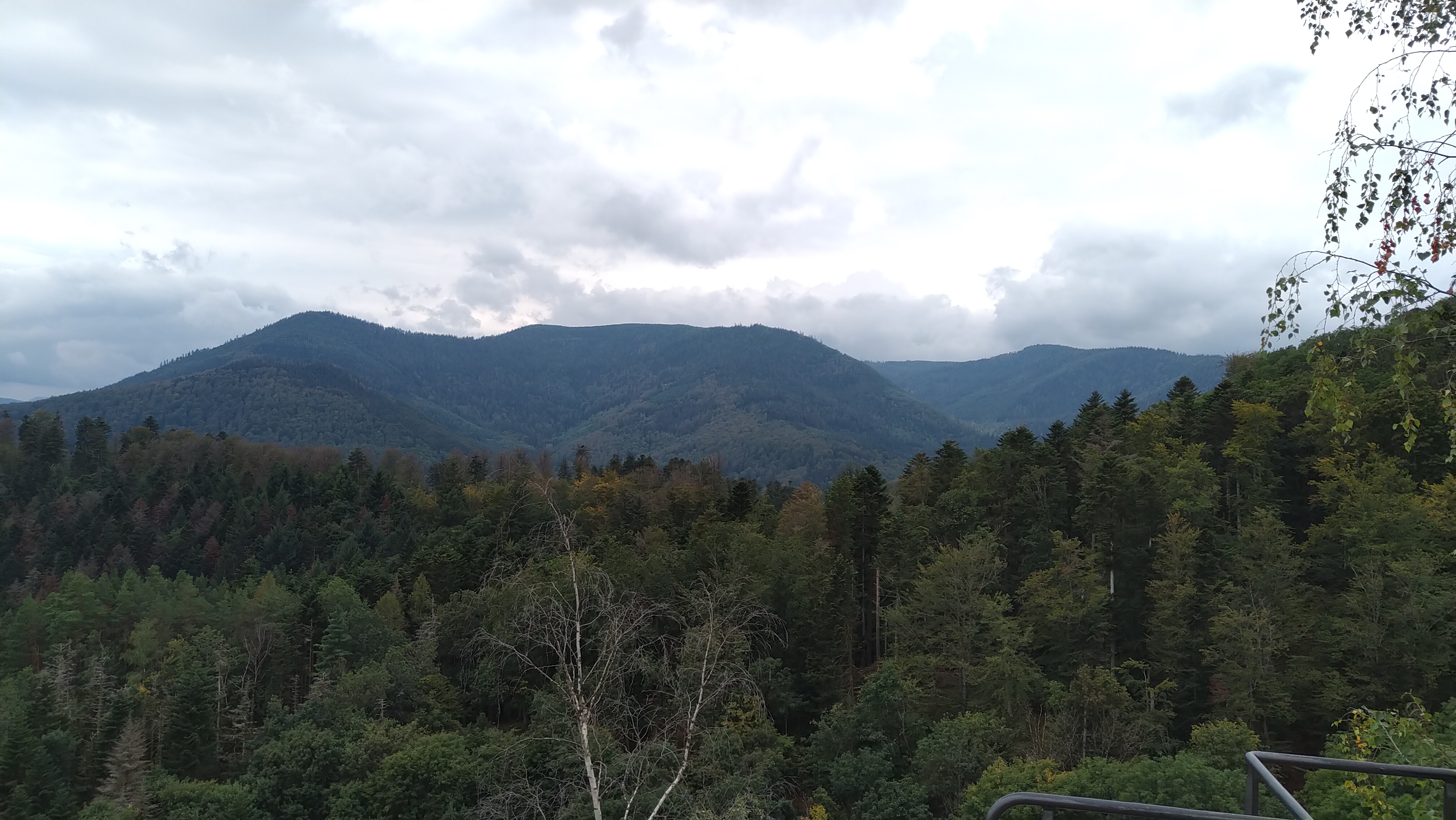 Photo n° 5 de l'avis de ATY.� fait le 10/09/2021 à 15:32