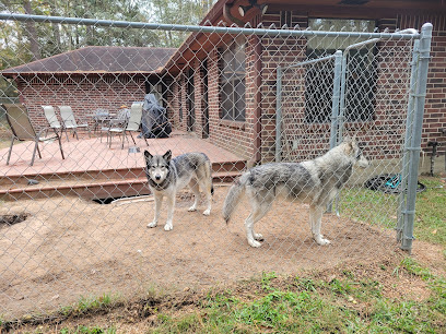 Texas Wolfdog Project & Shelter