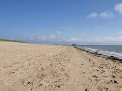 Plage Dragey-Ronthon'in fotoğrafı çok temiz temizlik seviyesi ile
