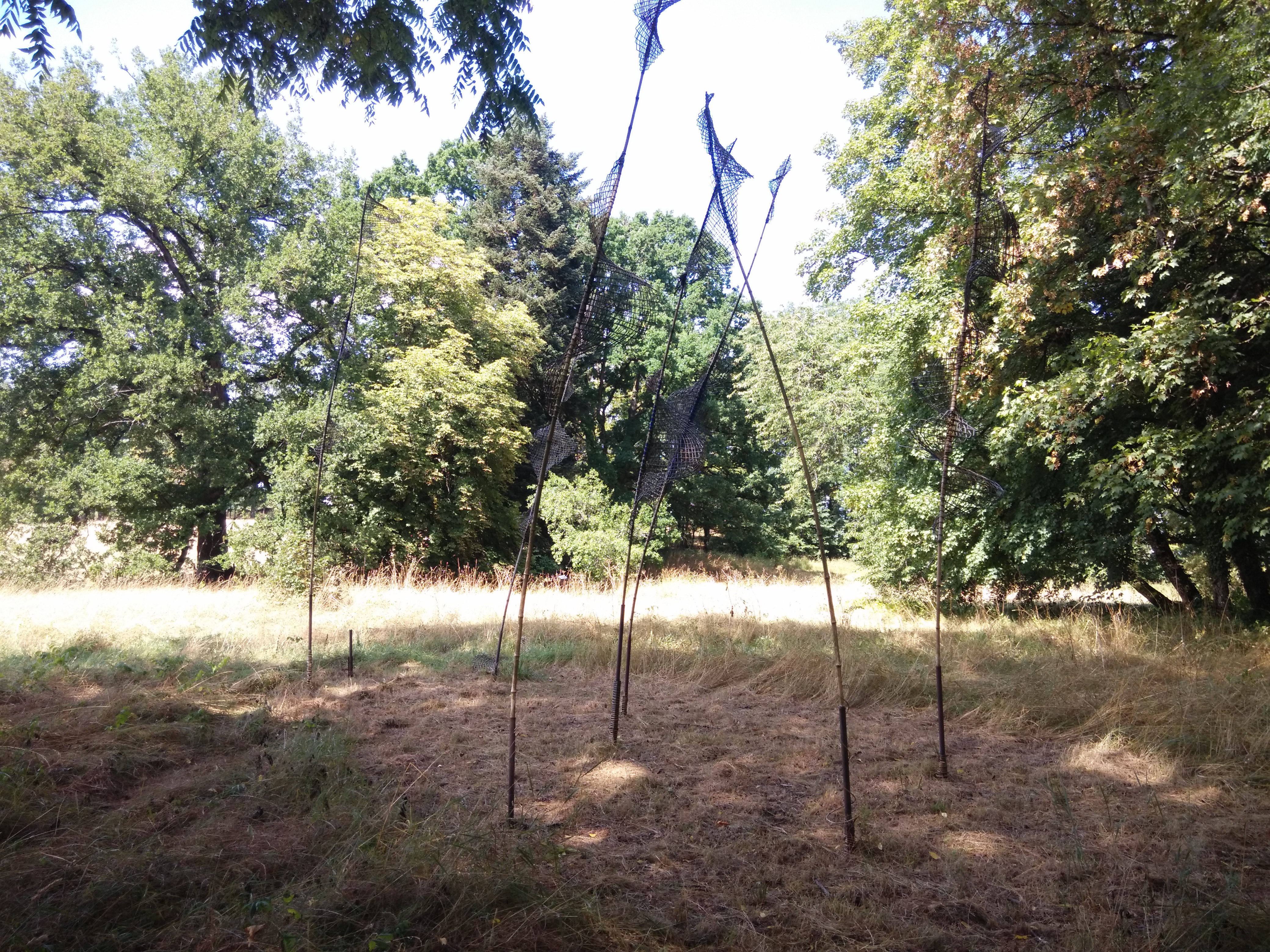 Photo n° 14 de l'avis de Casper.e fait le 09/08/2019 à 12:58