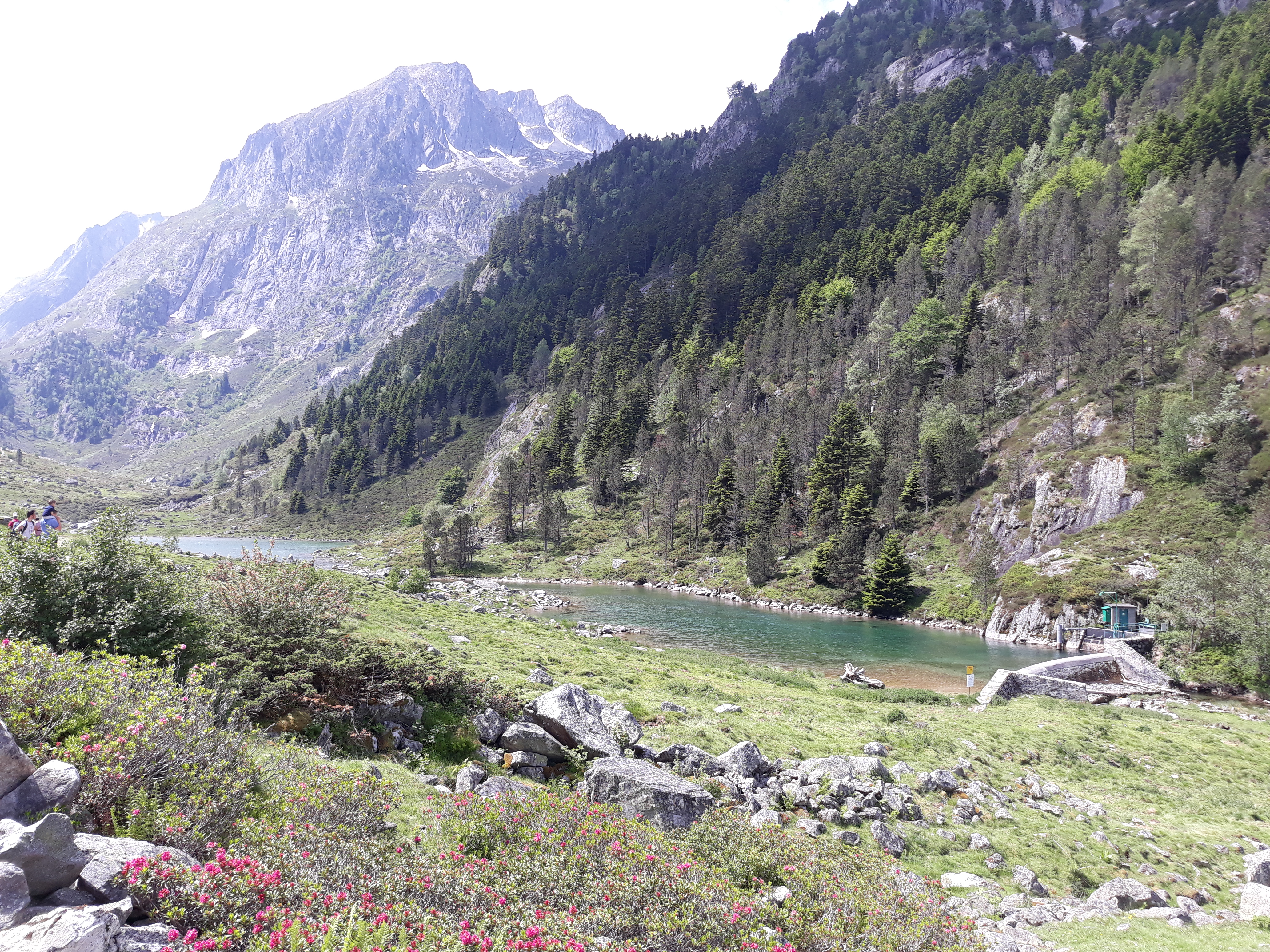Photo n° 6 de l'avis de celine.b fait le 16/07/2019 à 10:17