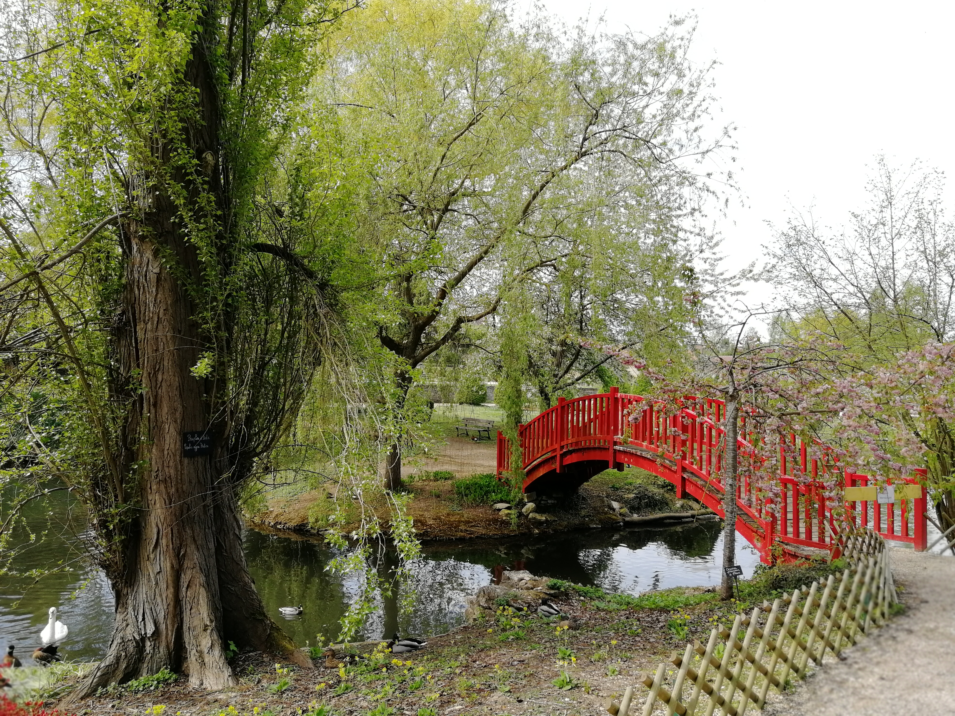 Photo n° 2 de l'avis de NathalieMac. fait le 22/04/2019 à 08:01