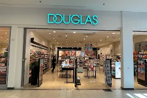 Douglas image