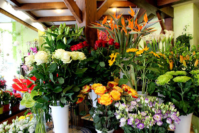 Histoire de Fleurs à Brunoy