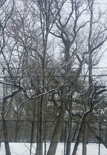 Golf Course «Kissena Park Golf Course», reviews and photos, 164-15 Booth Memorial Ave, Fresh Meadows, NY 11365, USA