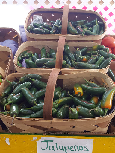 Produce Market «Jams Produce», reviews and photos, 1451 Clearwater Largo Rd N, Largo, FL 33770, USA