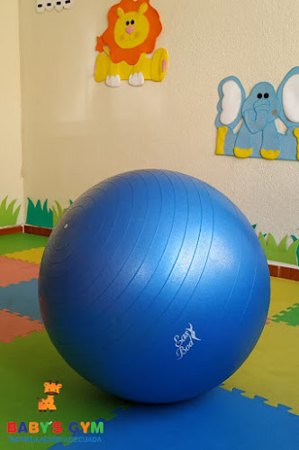 Baby's Gym - Estimulación Temprana Quito - Quito