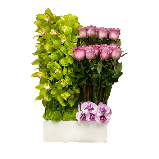 Florist «Amazing Flowers Miami», reviews and photos, 252 Sunny Isles Blvd #2b, Sunny Isles Beach, FL 33160, USA