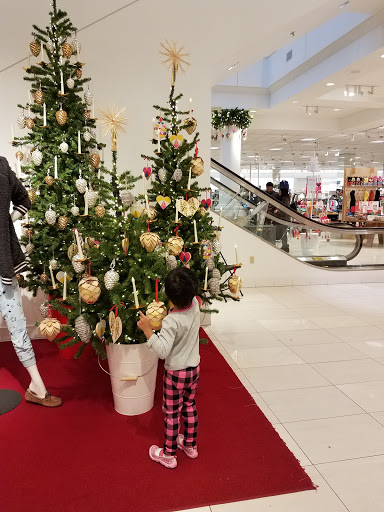 Department Store «Nordstrom Westfarms», reviews and photos, 600 W Farms Mall, Farmington, CT 06032, USA