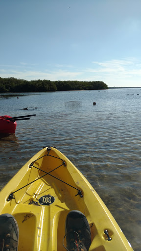 Nature Preserve «Mobbly Bayou Wilderness Preserve», reviews and photos, 423 Lafayette Blvd, Oldsmar, FL 34677, USA