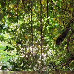 Photo n°1 de l'avis de Monika.o fait le 12/05/2022 à 13:00 sur le  Cafe Baier à Berlin