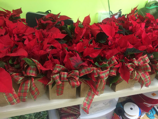 Florist «The Flower Room», reviews and photos, 474 Central Ave, Dover, NH 03820, USA