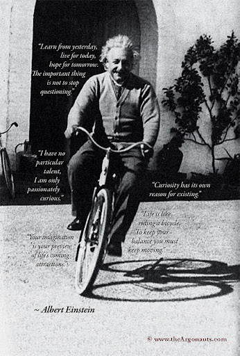 Bicycle Store «Deland Cyclery», reviews and photos, 111 W Indiana Ave, DeLand, FL 32720, USA