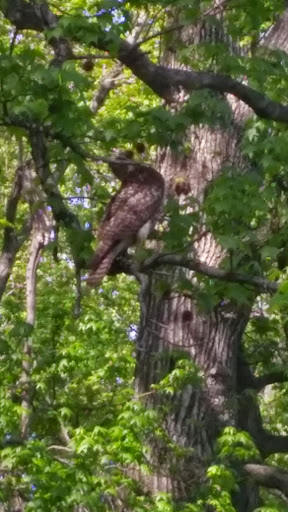 Golf Course «South Shore Golf Course», reviews and photos, 200 Huguenot Ave, Staten Island, NY 10312, USA