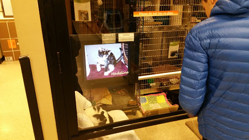 Pet Supply Store «PetSmart», reviews and photos, 60 NJ-17, Paramus, NJ 07652, USA