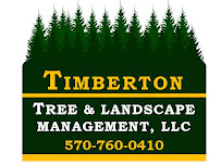 Timberton Tree & Landscape Management LLC - Photo 8 - Car repair in , Scranton
