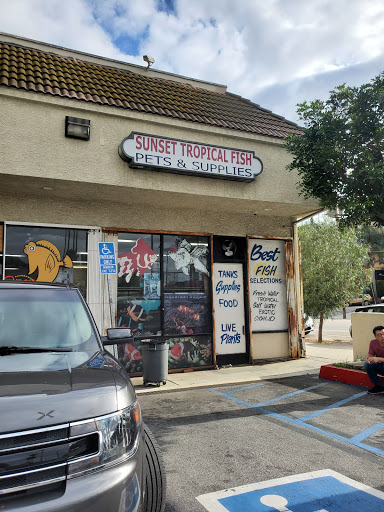Tropical Fish Store «Sunset Pet & Supplies», reviews and photos, 1373 Sunset Blvd, Los Angeles, CA 90026, USA
