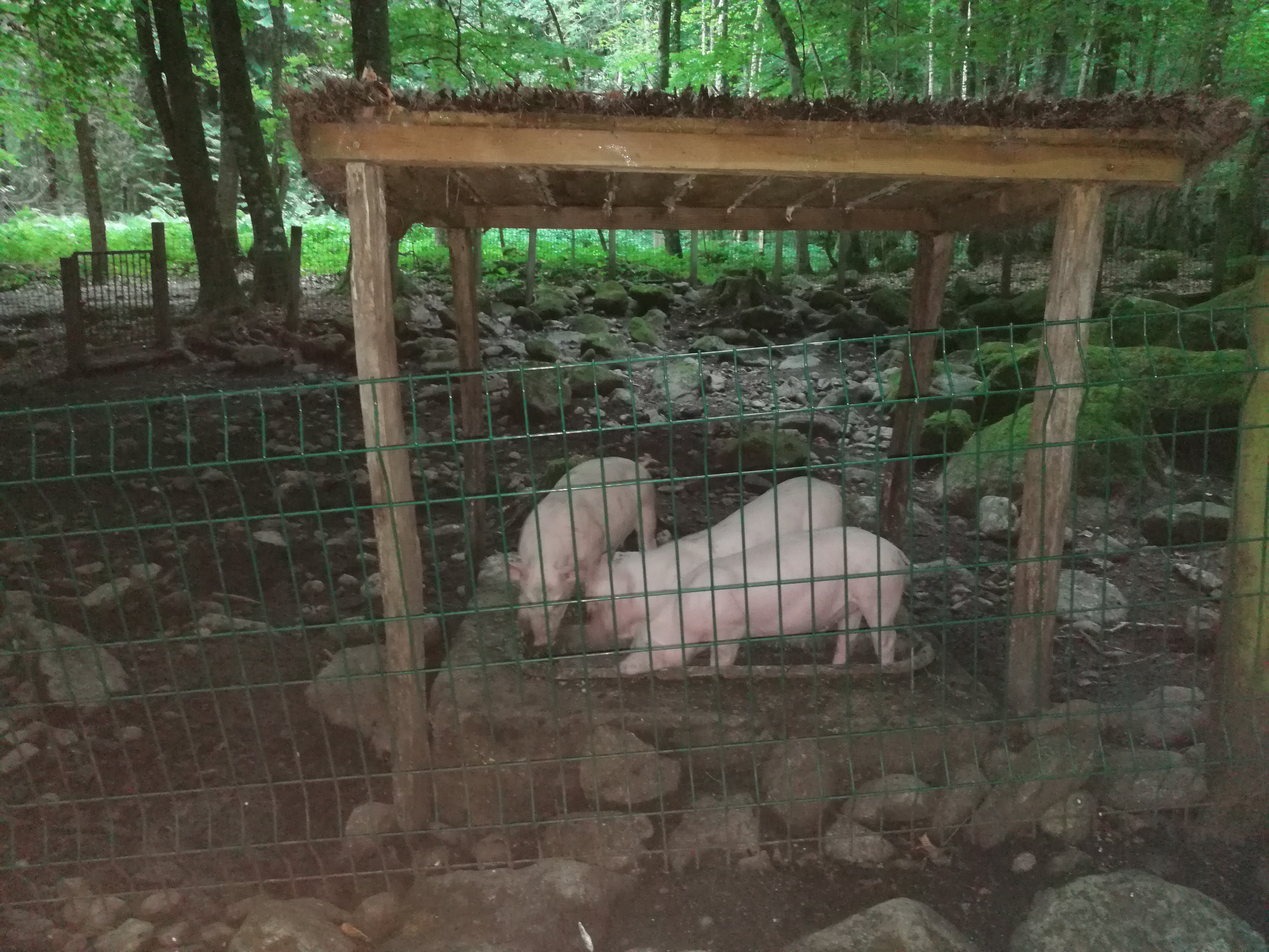 Photo n° 3 de l'avis de Fauvel.l fait le 02/09/2022 à 16:01