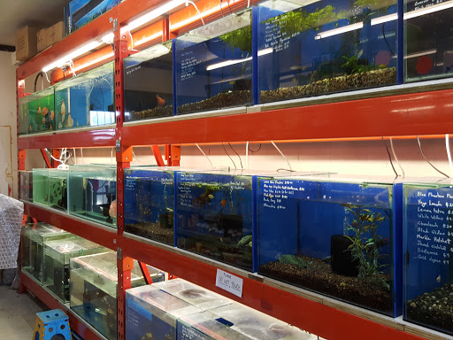 New Pupuke Aquarium Centre