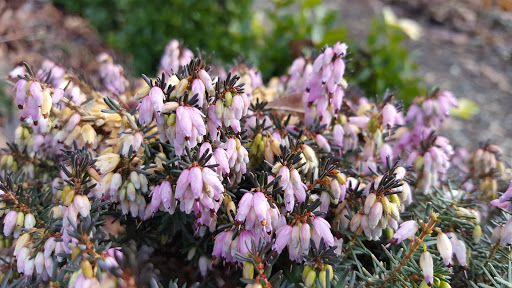 Tourist Attraction «NatureScaping Wildlife Botanical Gardens», reviews and photos, 11000 NE 149th St, Brush Prairie, WA 98606, USA