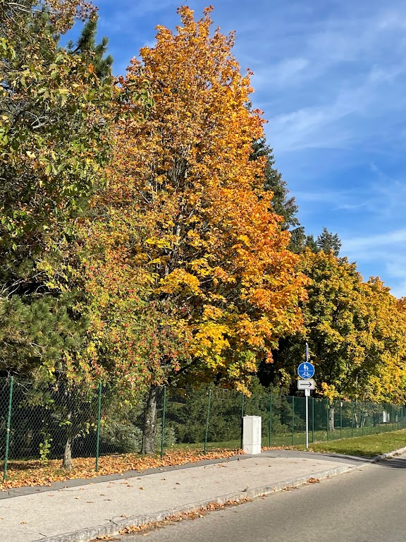 Memmert GmbH + Co.KG