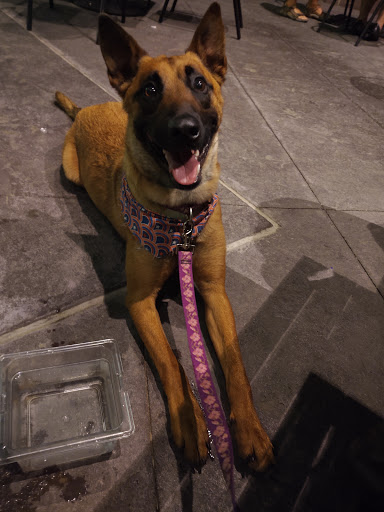 Pet Supply Store «Your Pet Stop», reviews and photos, 501 E 41st St, Sioux Falls, SD 57105, USA