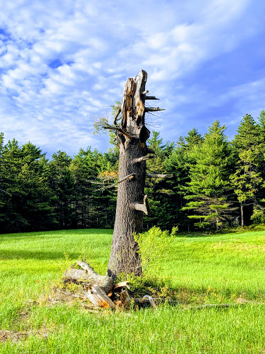 State Park «Myles Standish State Forest», reviews and photos, 194 Cranberry Rd, Carver, MA 02330, USA