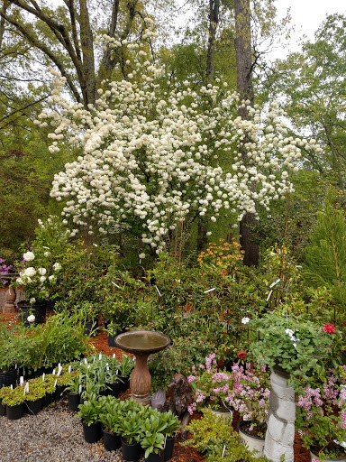 Garden Center «Goodness Grows», reviews and photos, 332 Elberton Rd, Lexington, GA 30648, USA