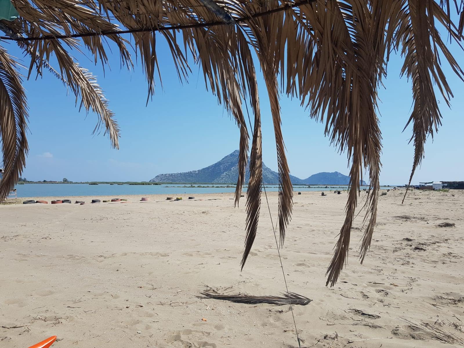 Zdjęcie Dion beach z poziomem czystości głoska bezdźwięczna