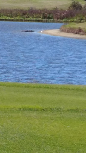 Golf Course «Buffalo Creek Golf Course», reviews and photos, 8100 69th St E, Palmetto, FL 34221, USA