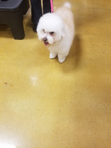 Pet Supply Store «PetSmart», reviews and photos, 1600 N Jackson St #310, Tullahoma, TN 37388, USA