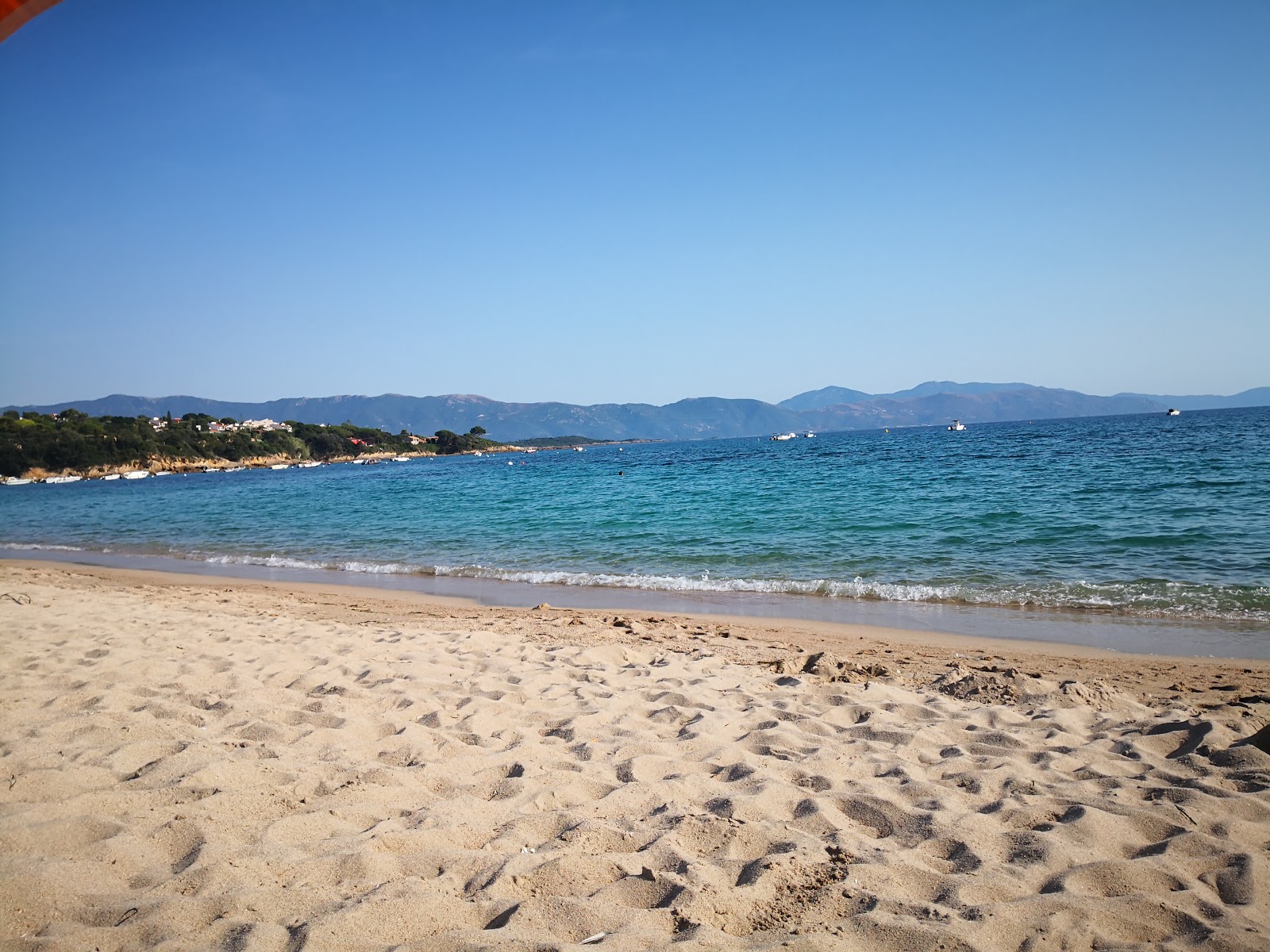 Sagone beach photo #9
