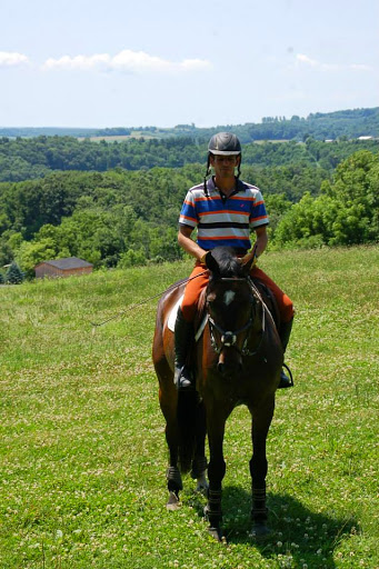 Horse Riding School «Horseng Farm LLC», reviews and photos, 6475 Warden Rd, New Tripoli, PA 18066, USA