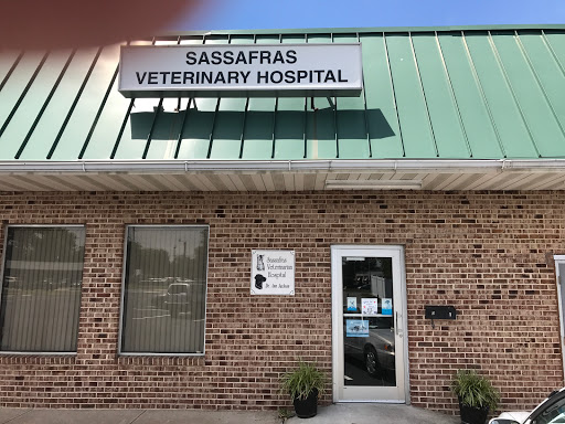 Sassafras Veterinary Hospital: Ann Jackson V.M.D. image