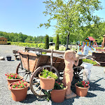 Photo n°4 de l'avis de Olaf.a fait le 28/05/2023 à 14:17 sur le  Restaurant Harth-Haus à Bad Langensalza