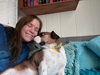 Cass and Co. Pet Sitting - Photo 8 - Car repair in , South Bend