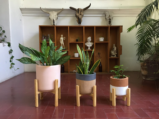 Nattivo • almacén de diseño • plantas y macetas