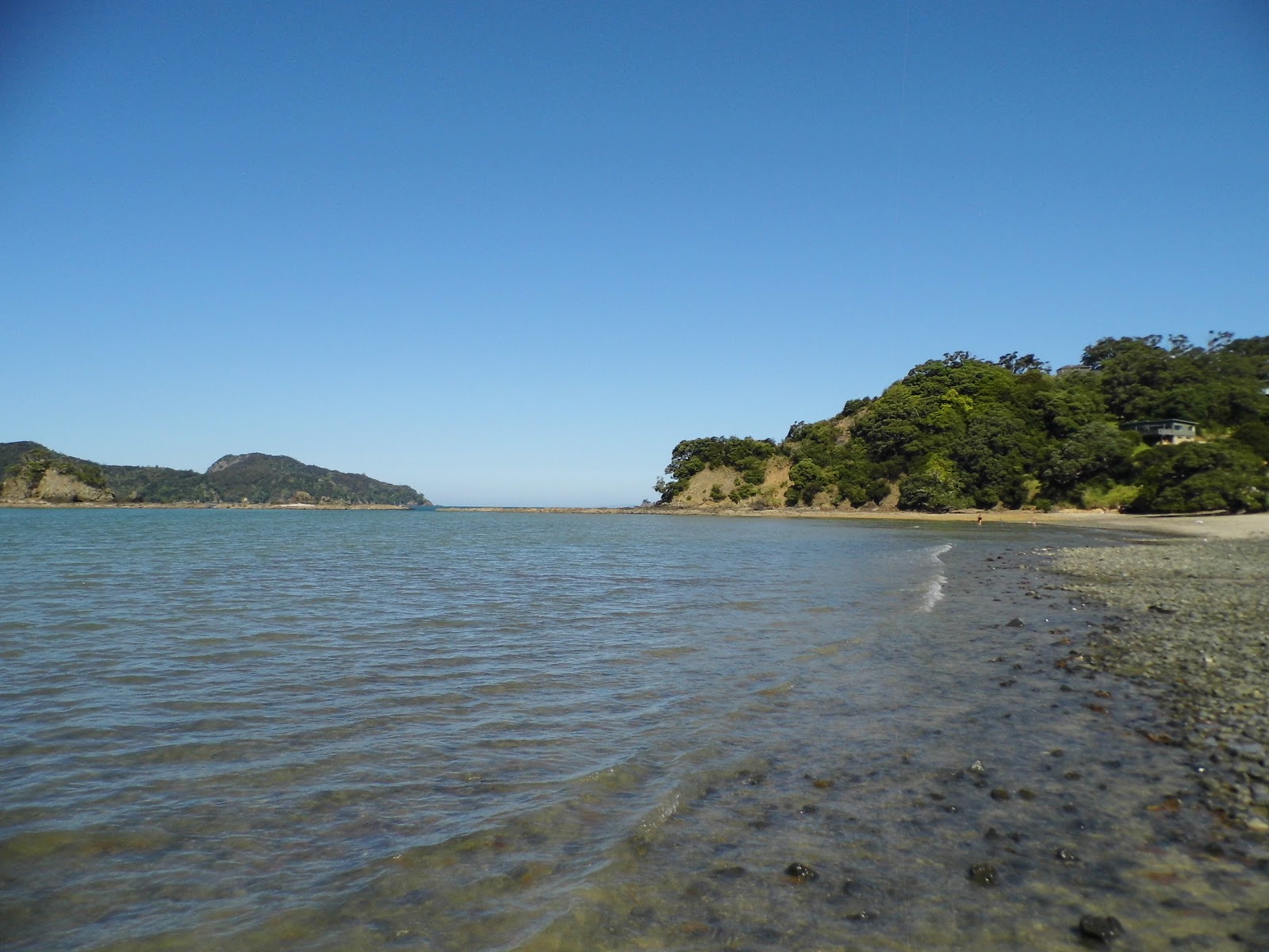 Foto von Parutahi Beach wilde gegend